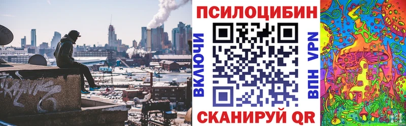блэк спрут ONION Морозовск Псилоцибиновые грибы MAGIC MUSHROOMS
